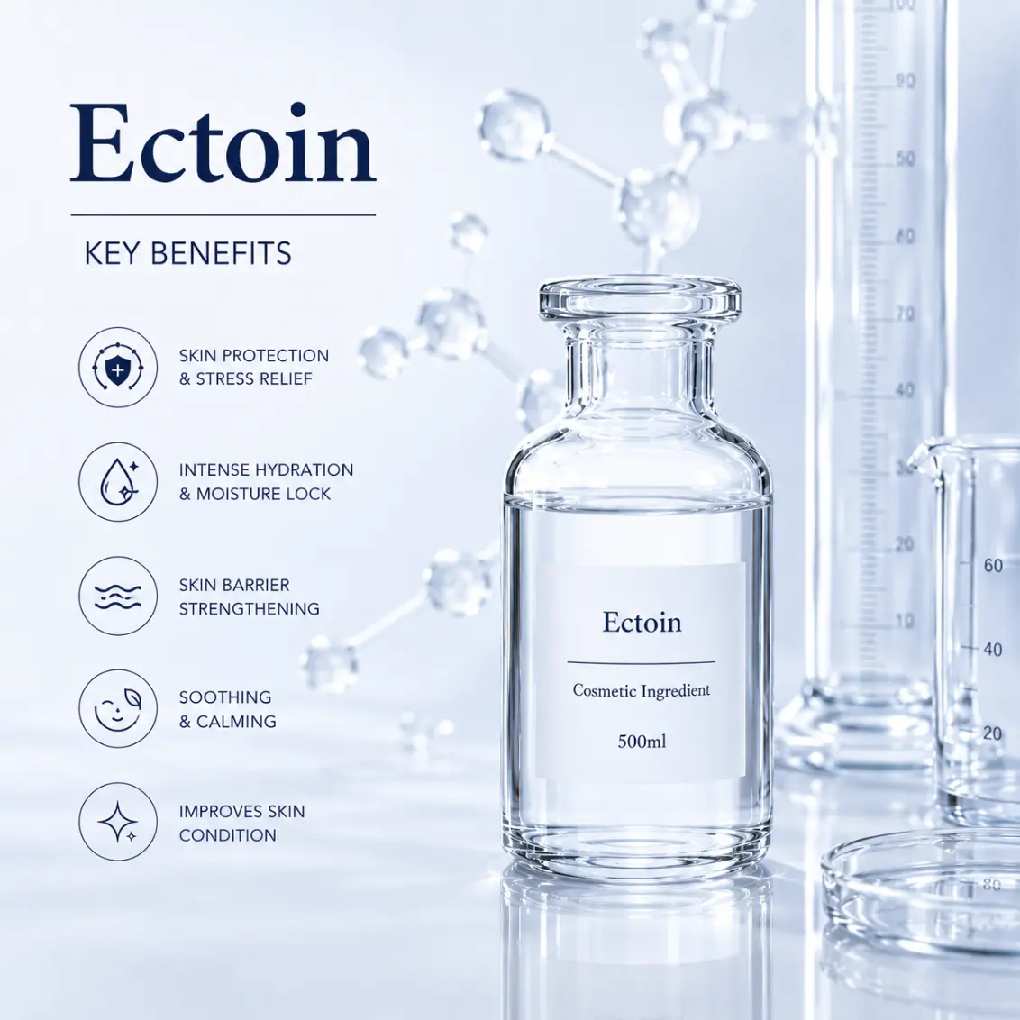 Ectoin Function