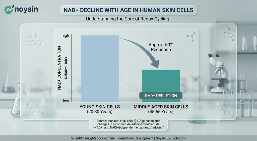 NAD+ Decline with Age in Human Skin Cells
