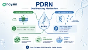 PDRN Dual Pathway Mechanism