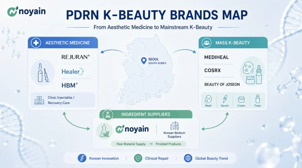 PDRN K-Beauty Brands Map