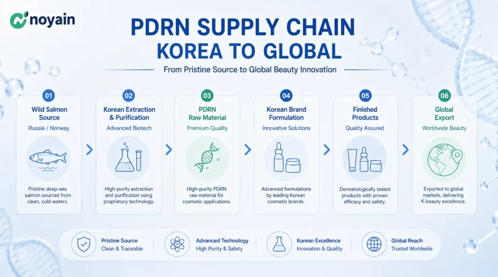 PDRN Supply Chain Korea to Global