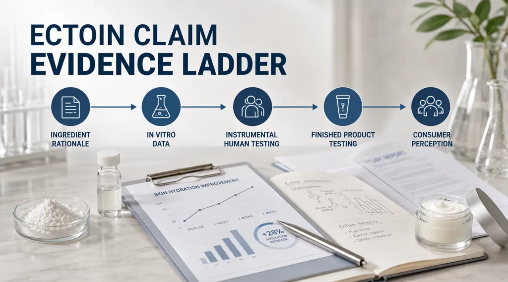 Ectoin cosmetic claim evidence ladder from laboratory data to finished product testing.