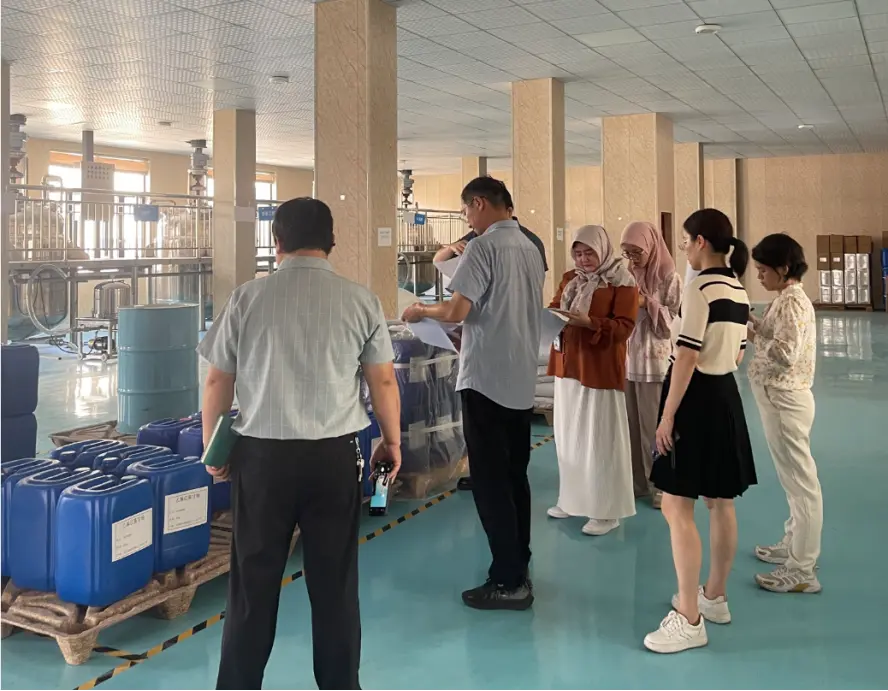BPJPH On-site Audit