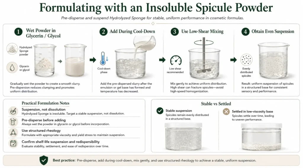 Formulating with an Insoluble Spicule Powder