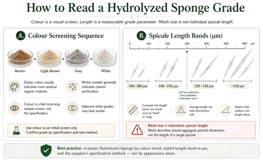 How to Read a Hydrolyzed Sponge Grade