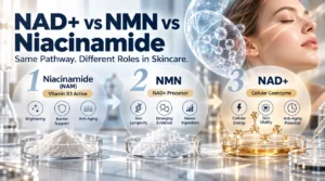 How Niacinamide, NMN and NAD+ Connect in the NAD+ Pathway